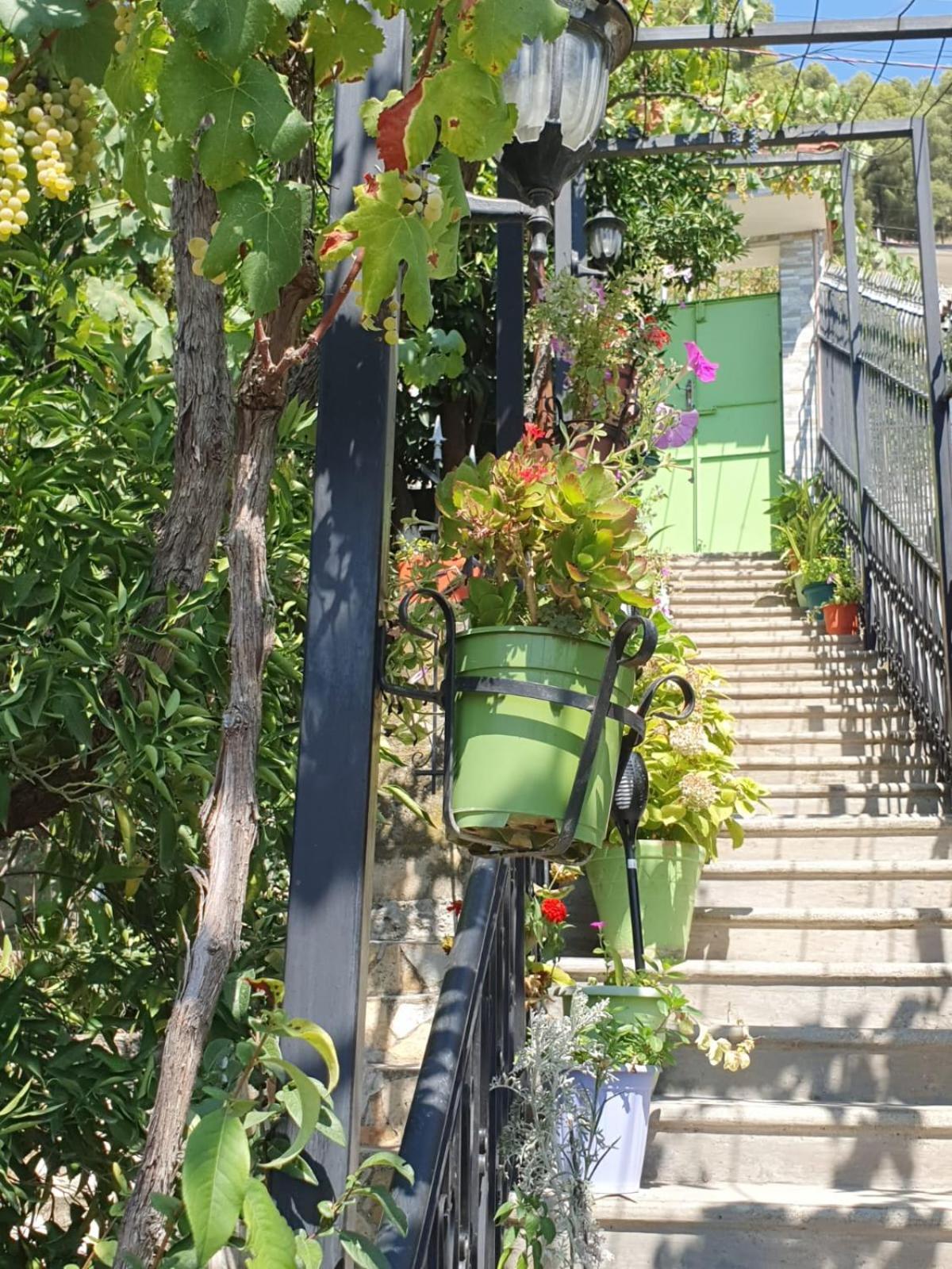 Sara Guesthouse เบราท ภายนอก รูปภาพ