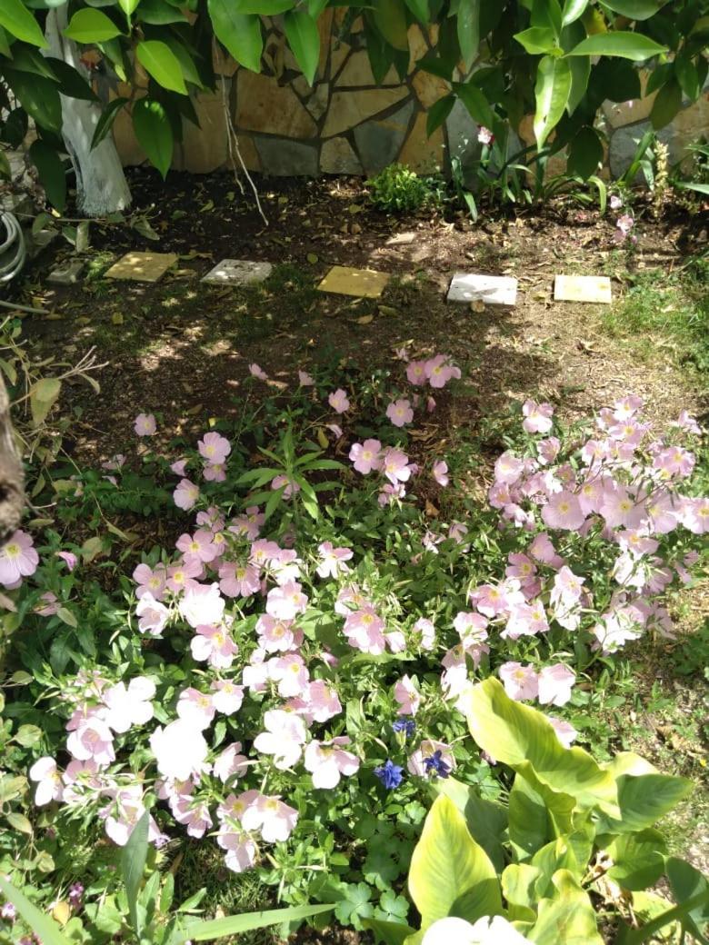 Sara Guesthouse เบราท ภายนอก รูปภาพ